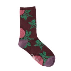 画像1: 松尾ミユキ　G.M.S. Floral　socks　Bordeaux (1)