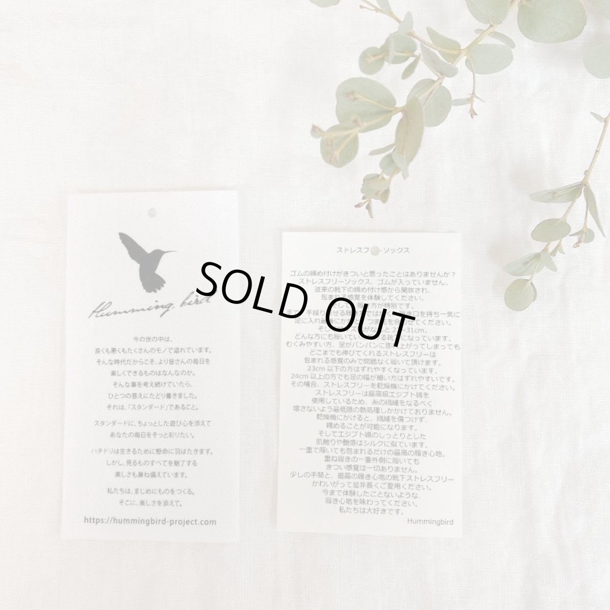 画像5: Humming bird　エジプトコットンストレスフリーソックス／ライム (5)