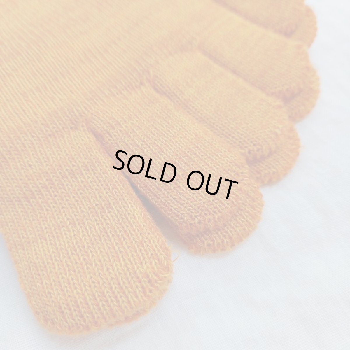 画像5: Humming bird　5本指パイル　グンソックス　ミドル丈　イクラ (5)