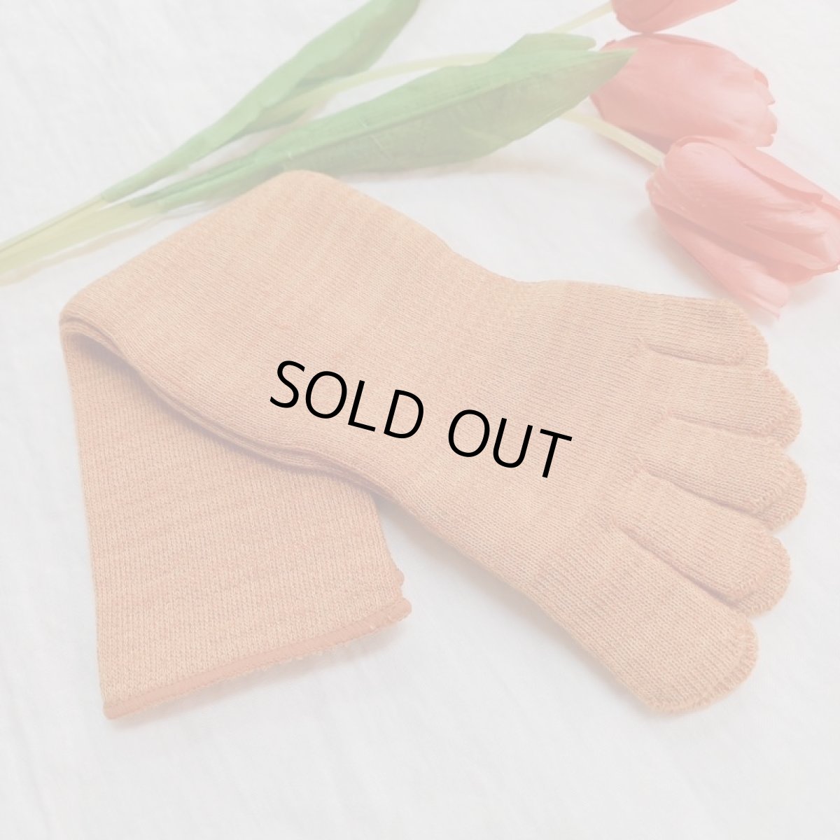 画像2: Humming bird　5本指パイル　グンソックス　ミドル丈　イクラ (2)