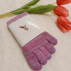 画像1: Humming bird　5本指パイル　グンソックス　ミドル丈　マジックアワー (1)