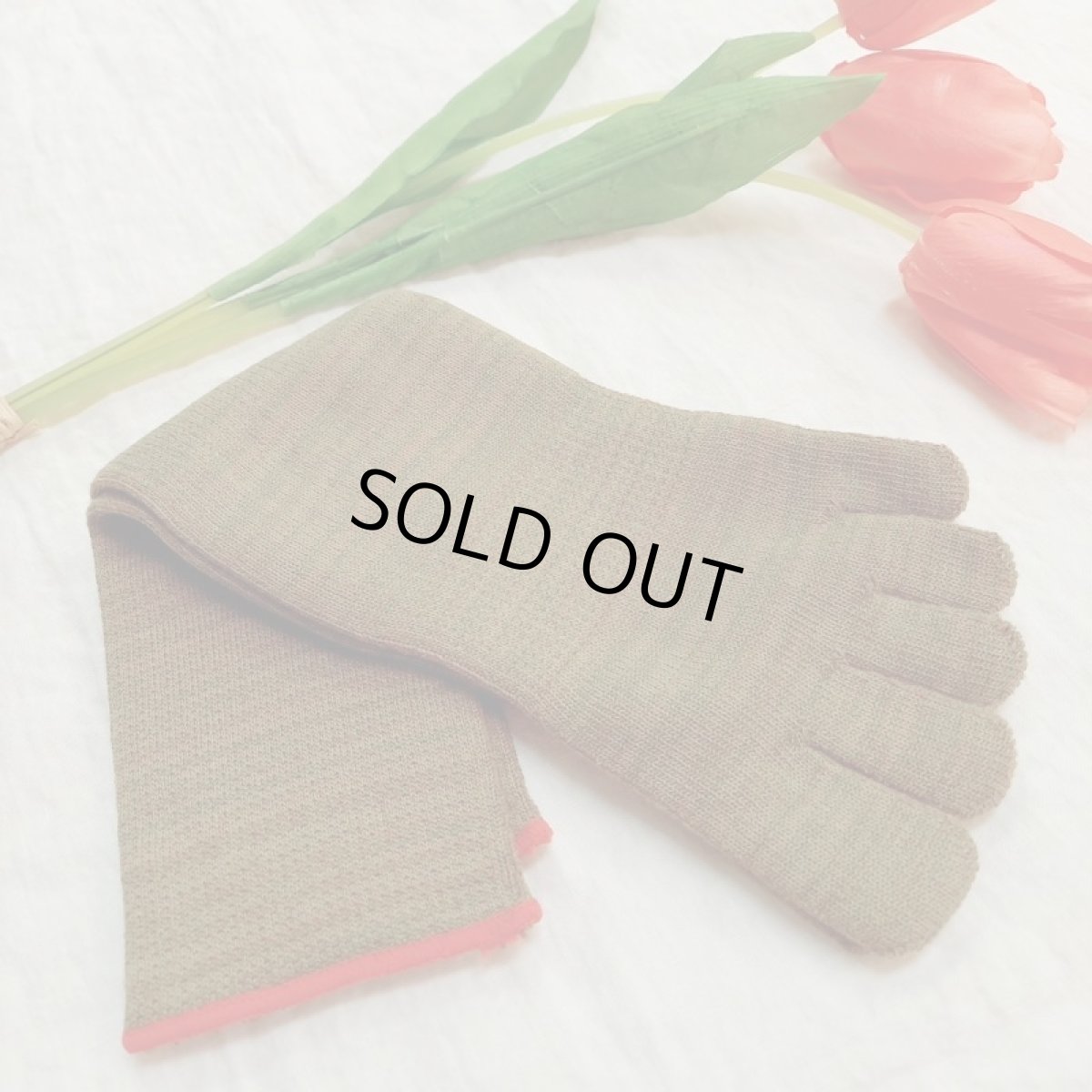 画像2: Humming bird　5本指パイル　グンソックス　ミドル丈　ウェットランド (2)