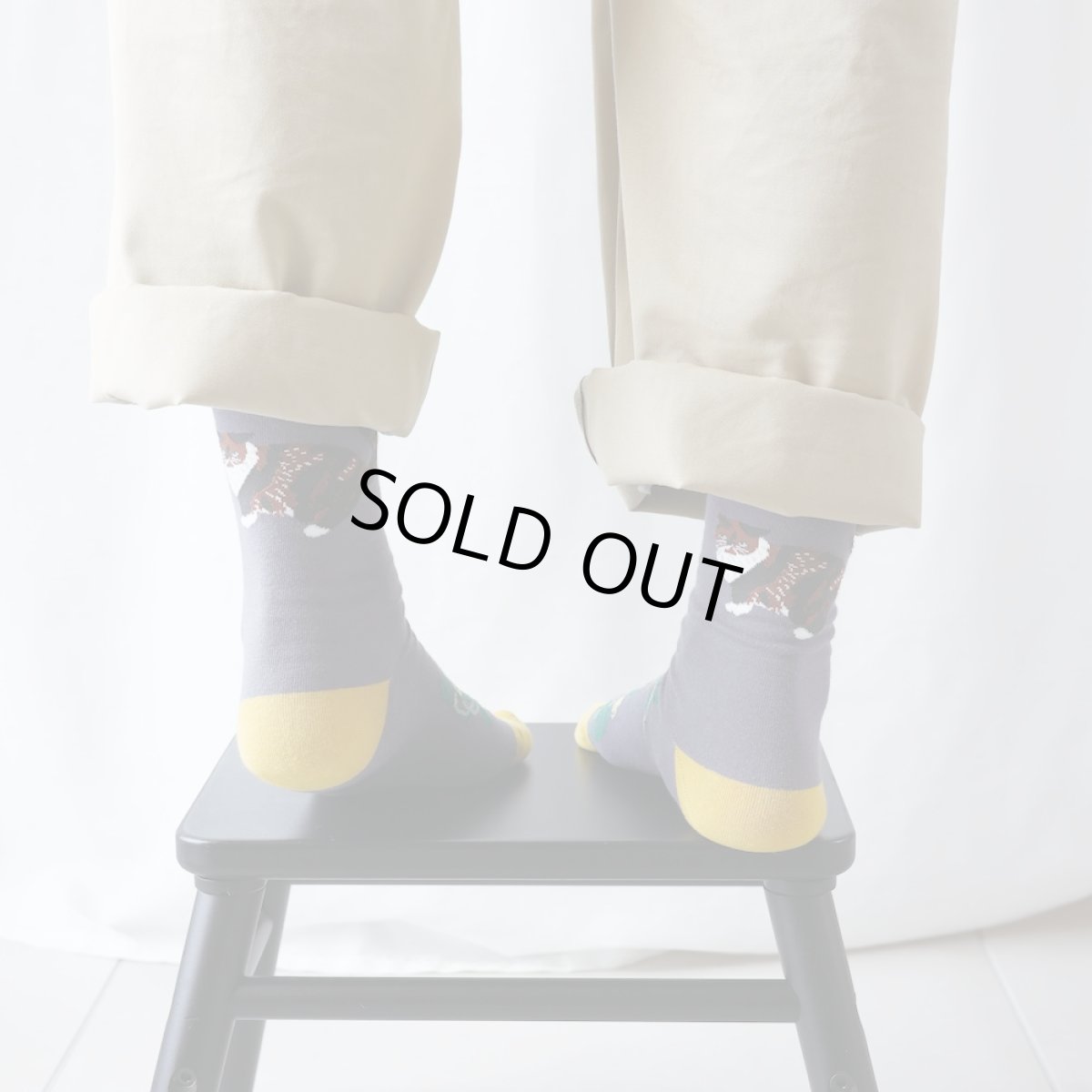 画像4: 松尾ミユキ Back Cat socks Mugi MM043 (4)