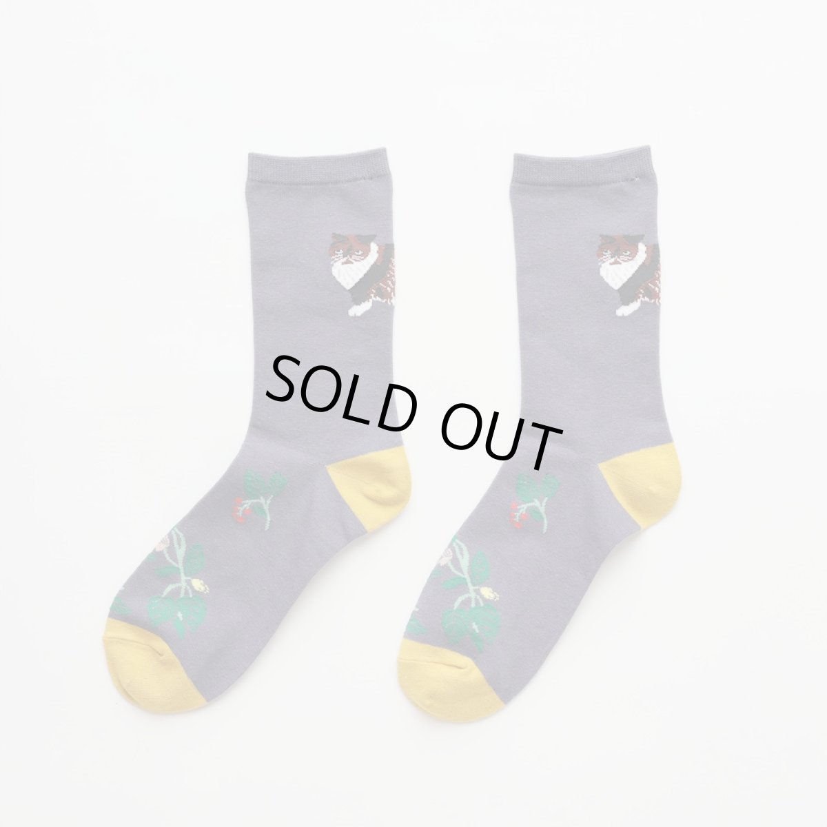 画像2: 松尾ミユキ Back Cat socks Mugi MM043 (2)