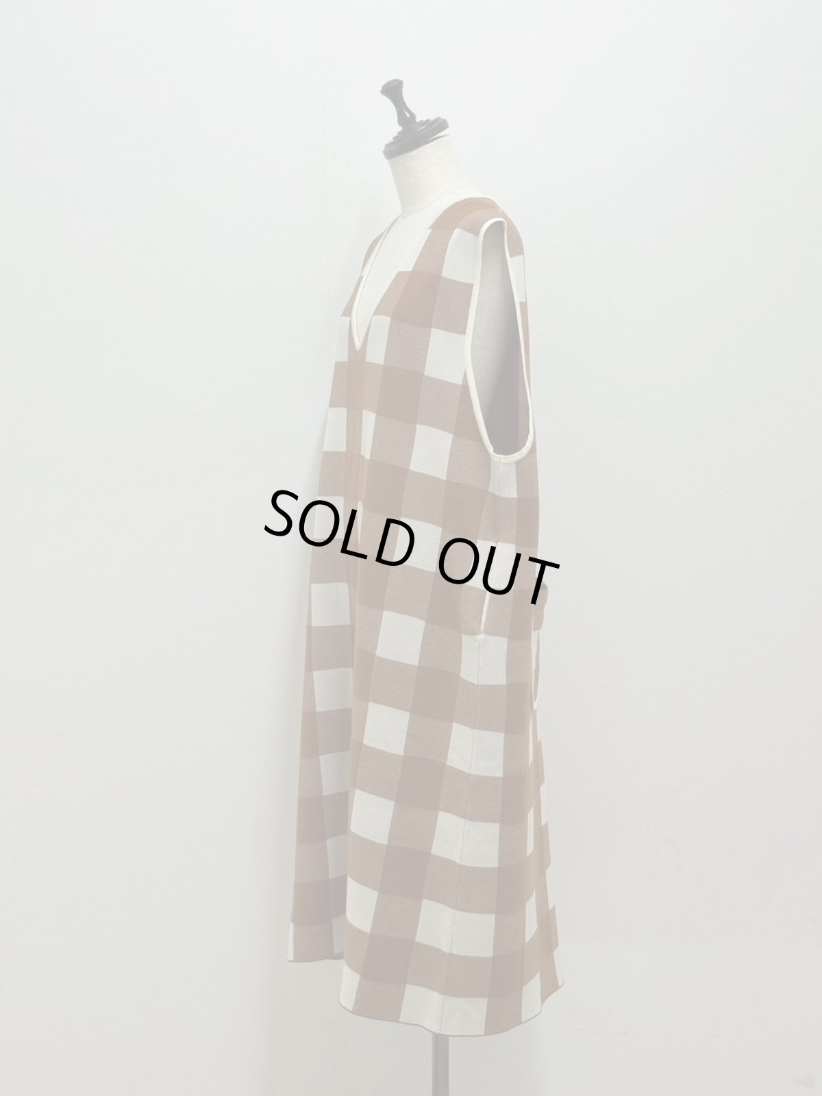 画像3: 【11月上旬〜11月中旬】ギンガムジャンスカ（3L）5625040 (3)