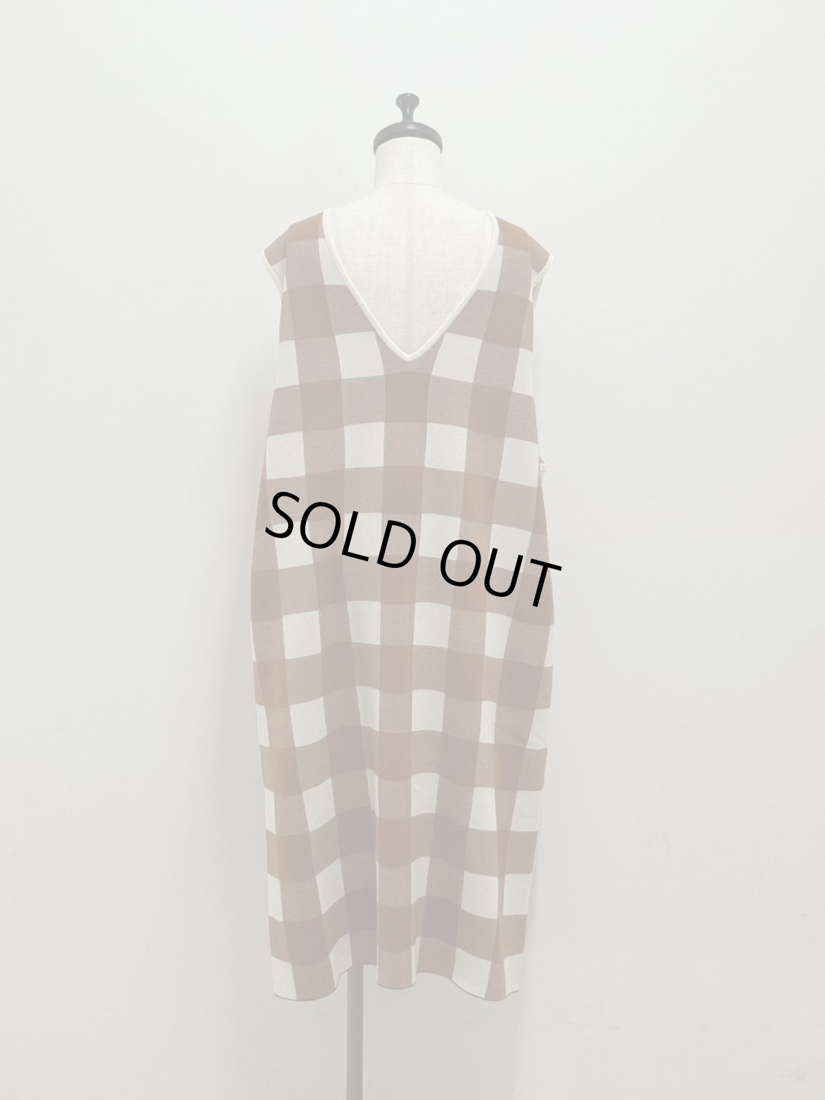 画像11: 【11月上旬〜11月中旬】ギンガムジャンスカ（M）5125030 (11)