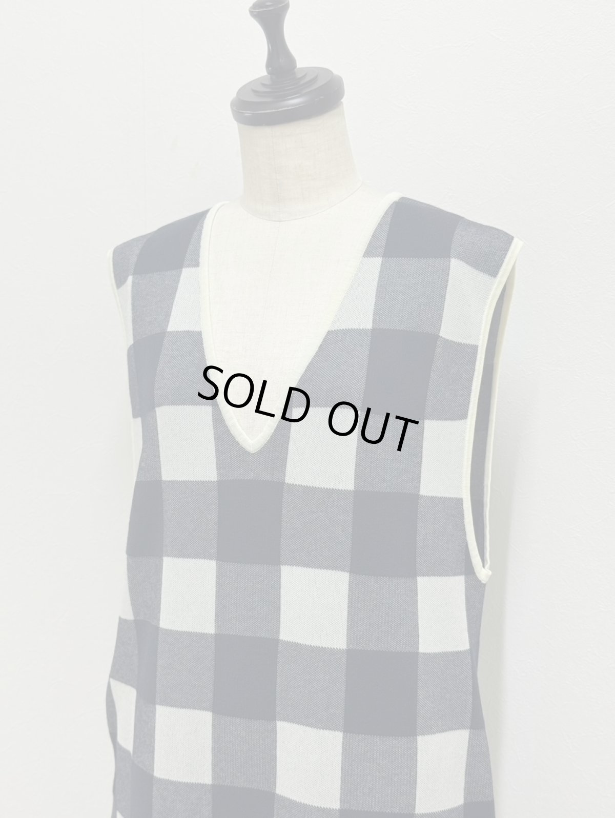 画像2: 【11月上旬〜11月中旬】ギンガムジャンスカ（M）5125030 (2)