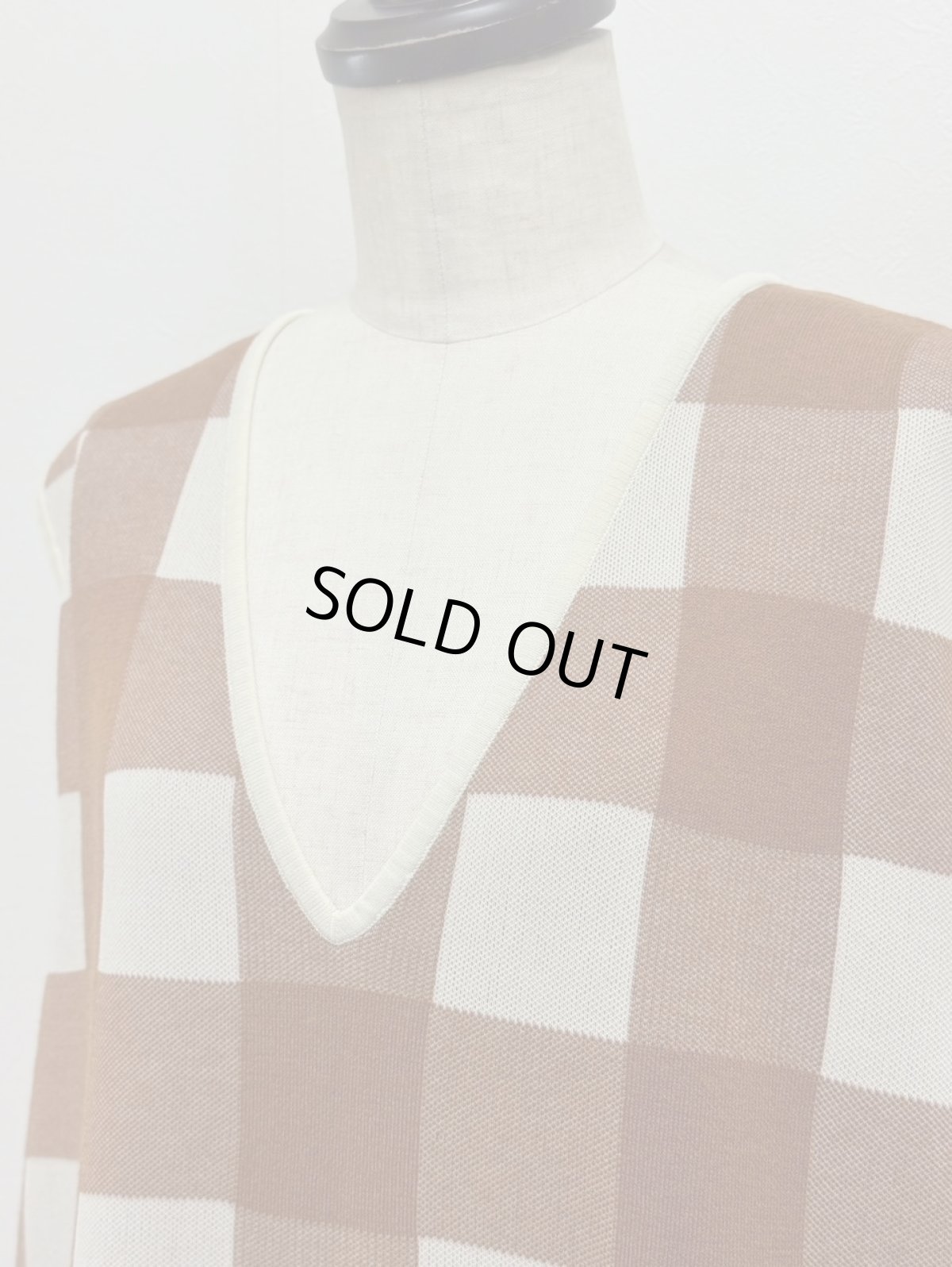 画像2: 【11月上旬〜11月中旬】ギンガムジャンスカ（3L）5625040 (2)