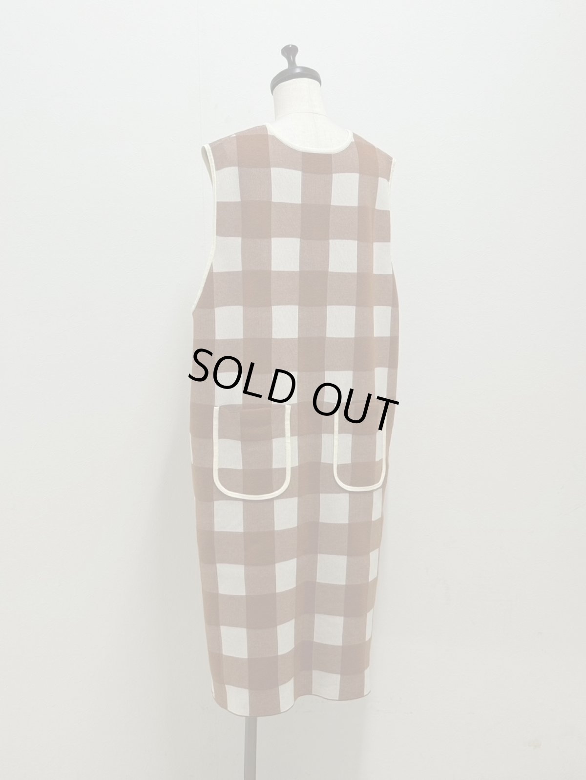 画像9: 【11月上旬〜11月中旬】ギンガムジャンスカ（M）5125030 (9)