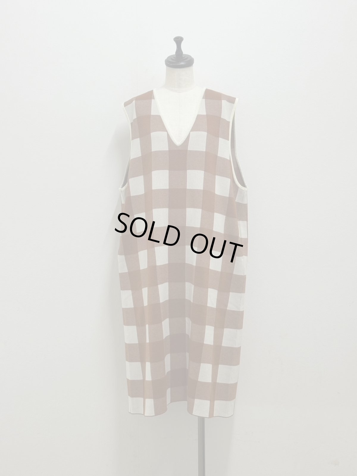 画像6: 【11月上旬〜11月中旬】ギンガムジャンスカ（M）5125030 (6)