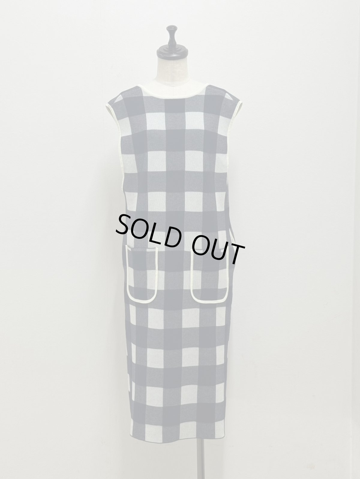 画像11: 【11月上旬〜11月中旬】ギンガムジャンスカ（3L）5625040 (11)