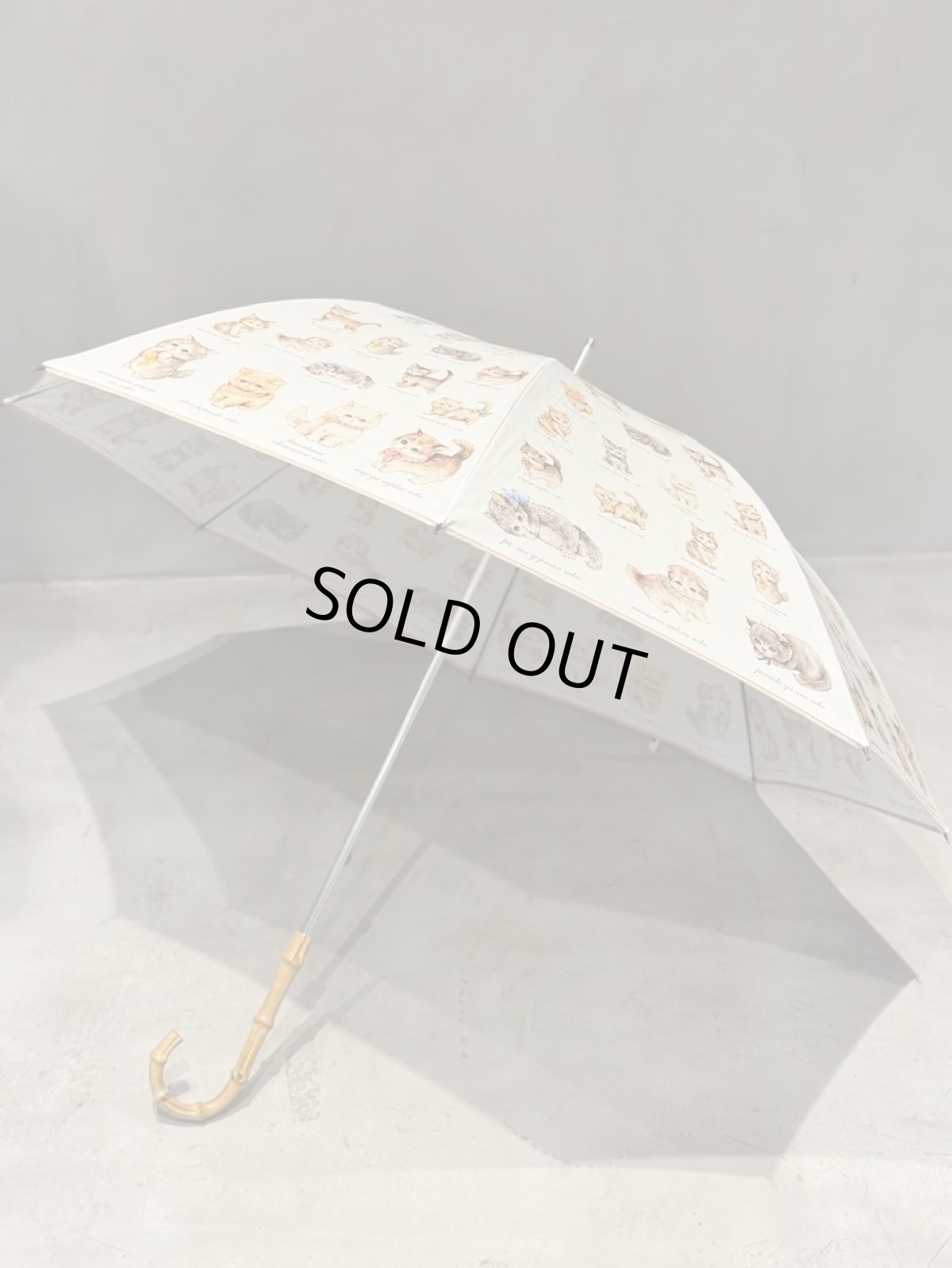 画像5: 【11月中旬〜11月下旬】こねこ図鑑パラソル 5105280 (5)