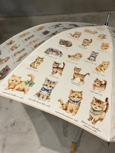 画像2: 【11月中旬〜11月下旬】こねこ図鑑パラソル 5105280 (2)