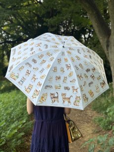 画像8: 【11月中旬〜11月下旬】こねこ図鑑パラソル 5105280 (8)
