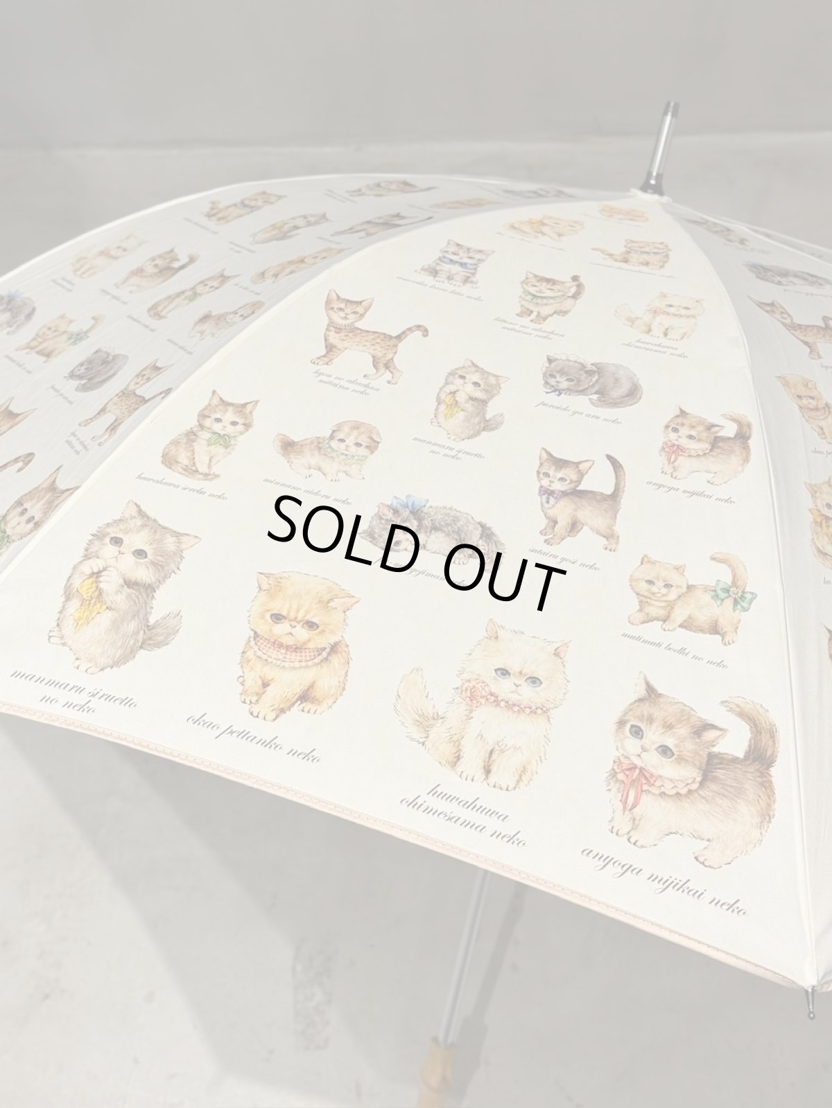 画像4: 【11月中旬〜11月下旬】こねこ図鑑パラソル 5105280 (4)