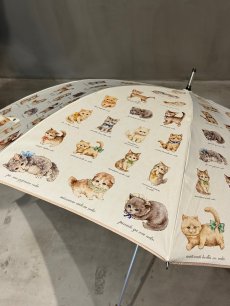 画像1: 【11月中旬〜11月下旬】こねこ図鑑パラソル 5105280 (1)