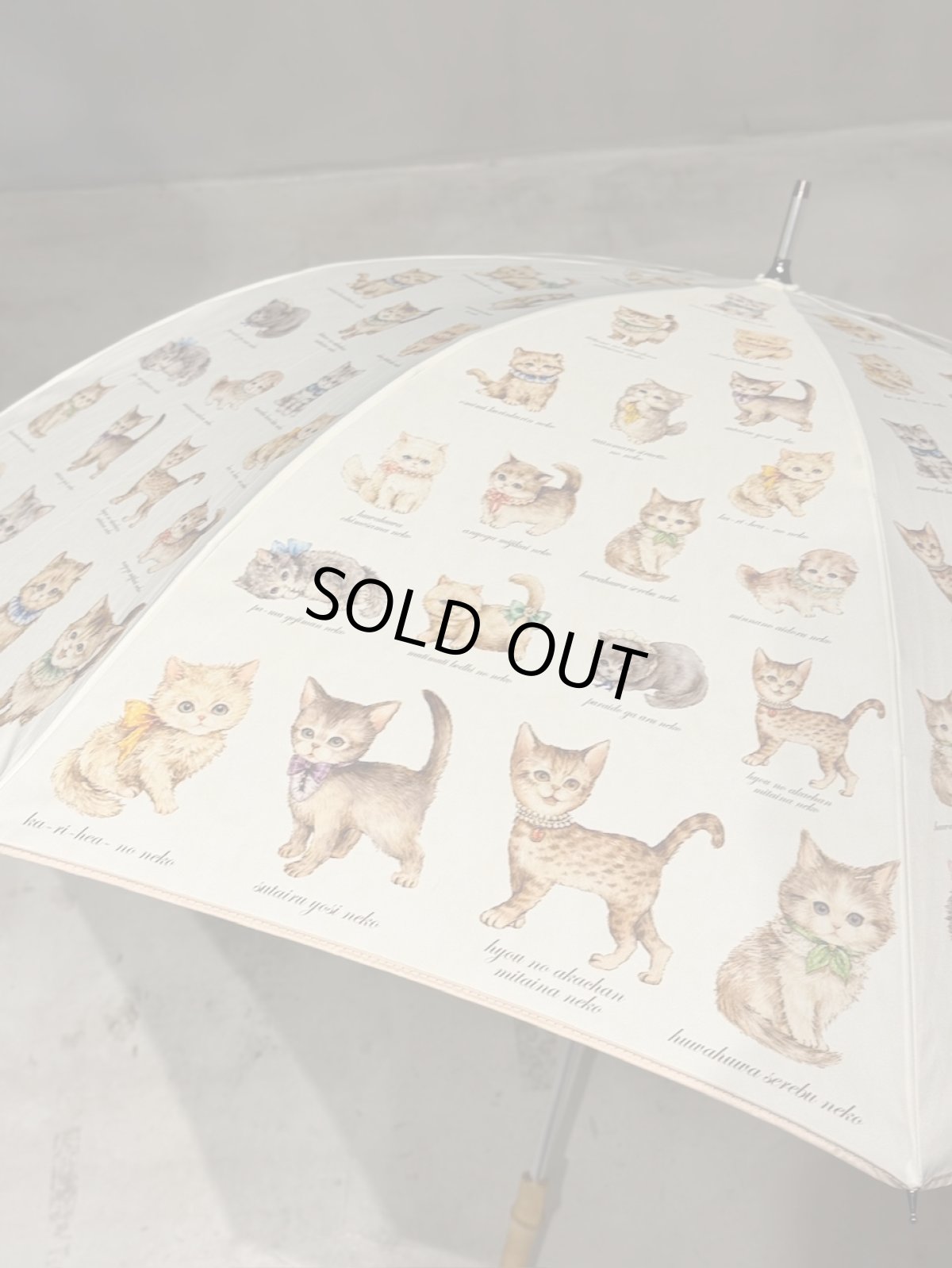 画像3: 【11月中旬〜11月下旬】こねこ図鑑パラソル 5105280 (3)