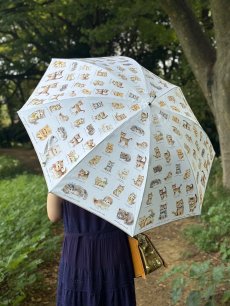 画像9: 【11月中旬〜11月下旬】こねこ図鑑パラソル 5105280 (9)