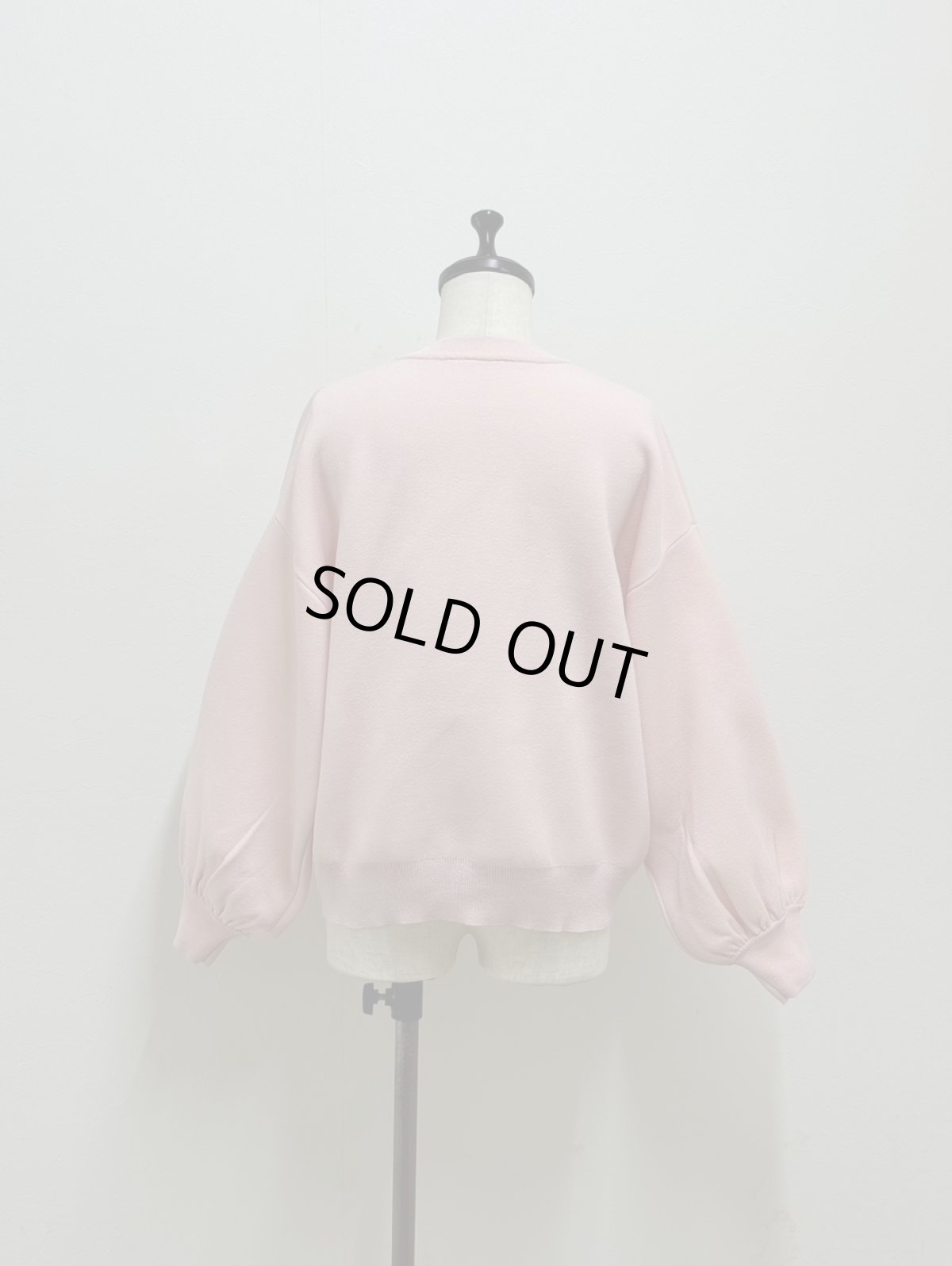 画像3: 【12月上旬〜12月中旬】ジェリープルオーバー（3L）5625120 (3)