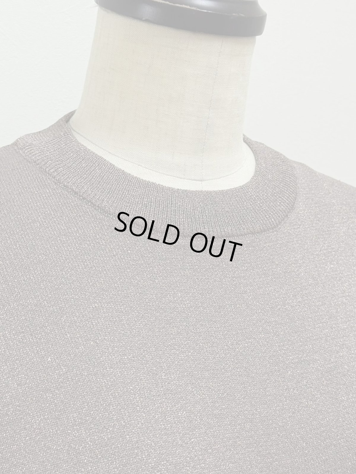 画像5: 【12月上旬〜12月中旬】ジェリープルオーバー（3L）5625120 (5)