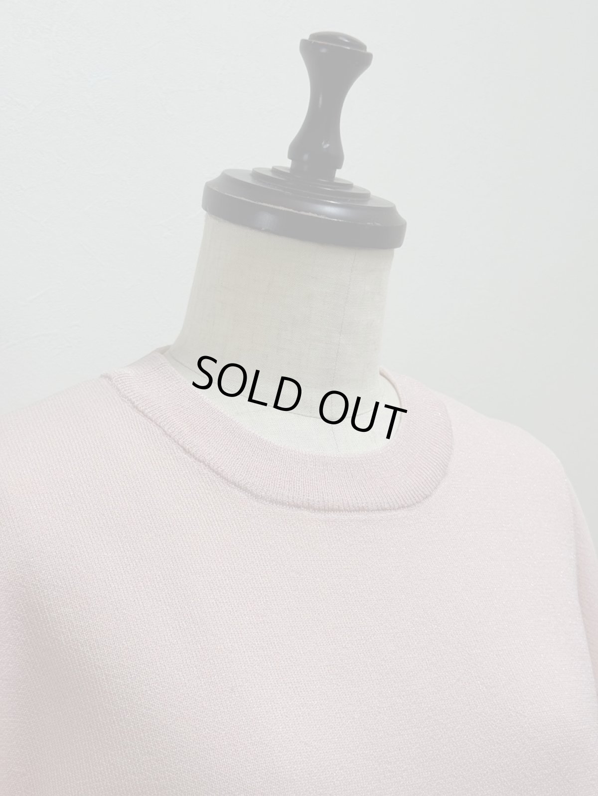 画像2: 【12月上旬〜12月中旬】ジェリープルオーバー（3L）5625120 (2)