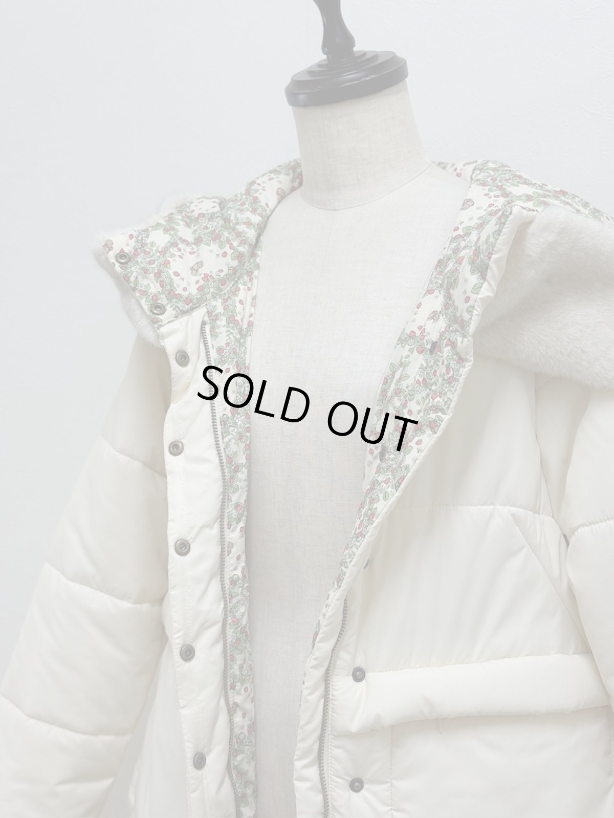 画像23: 【12月上旬〜12月中旬】ぷくぷくテキスタイルリバーコート（3L）5695140 (23)