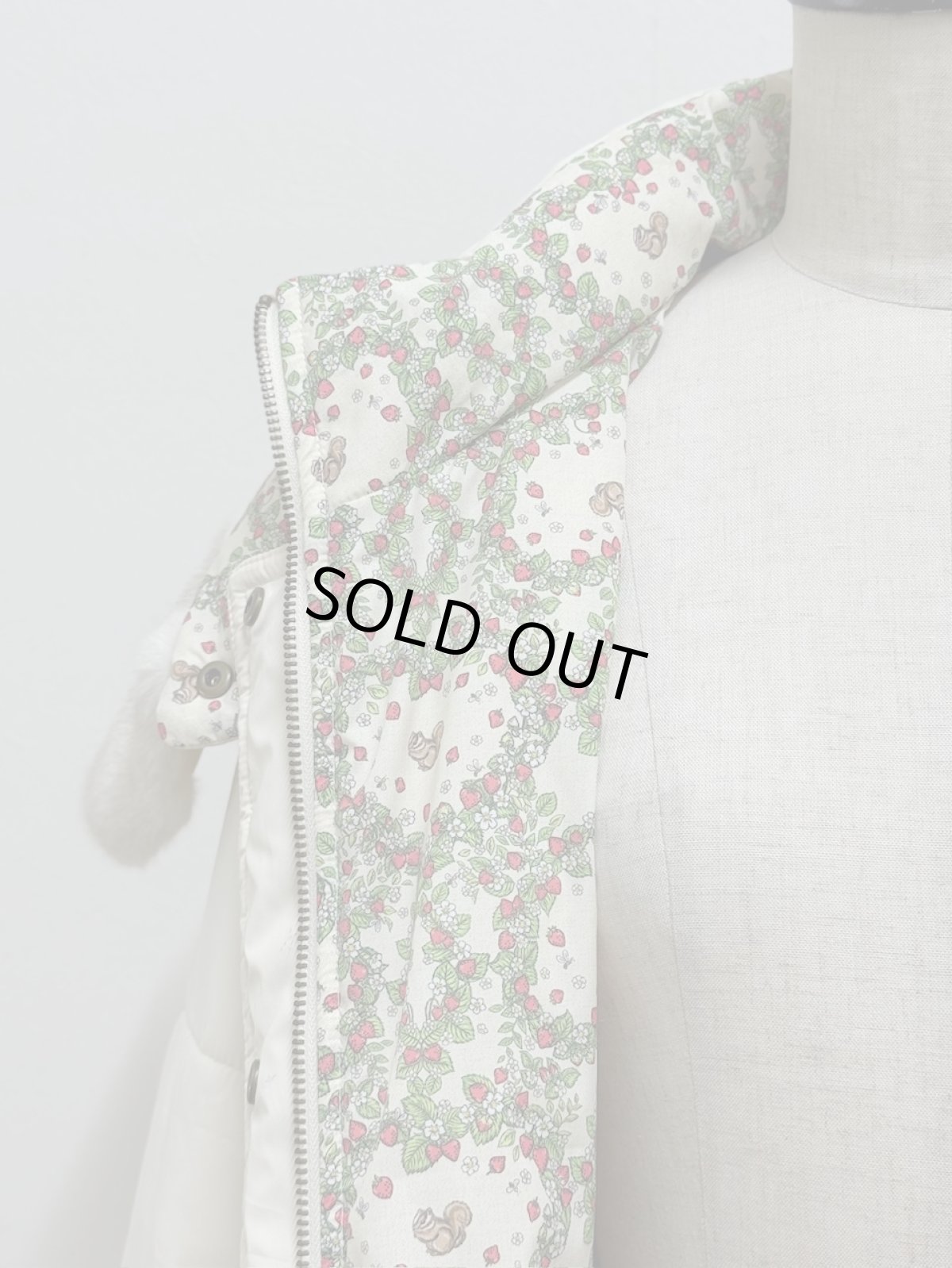 画像6: 【12月上旬〜12月中旬】ぷくぷくテキスタイルリバーロングコート（3L）5695160 (6)