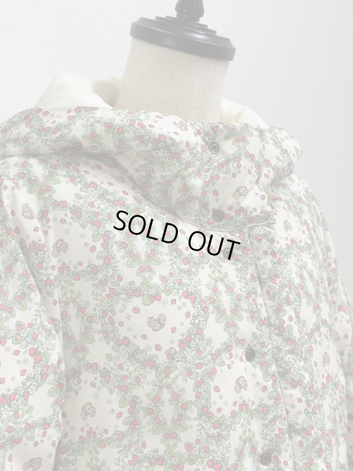 画像25: 【12月上旬〜12月中旬】ぷくぷくテキスタイルリバーコート（3L）5695140 (25)