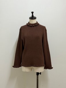 画像4: 【12月上旬〜12月中旬】ジェリーピタートル(3L)5625160 ※数量限定 (4)