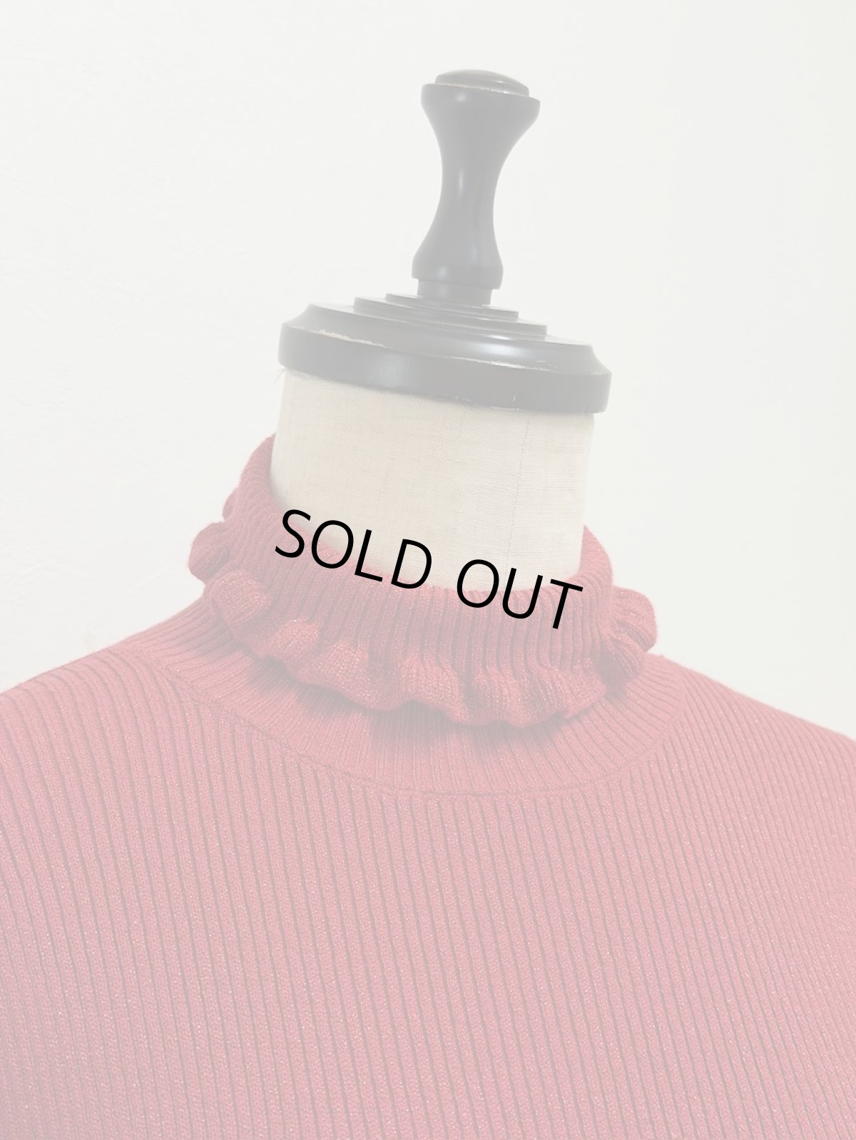 画像5: 【12月上旬〜12月中旬】ジェリーピタートル（M）5125150　※数量限定 (5)