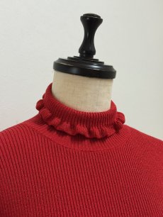 画像10: 【12月上旬〜12月中旬】ジェリーピタートル(3L)5625160 ※数量限定 (10)