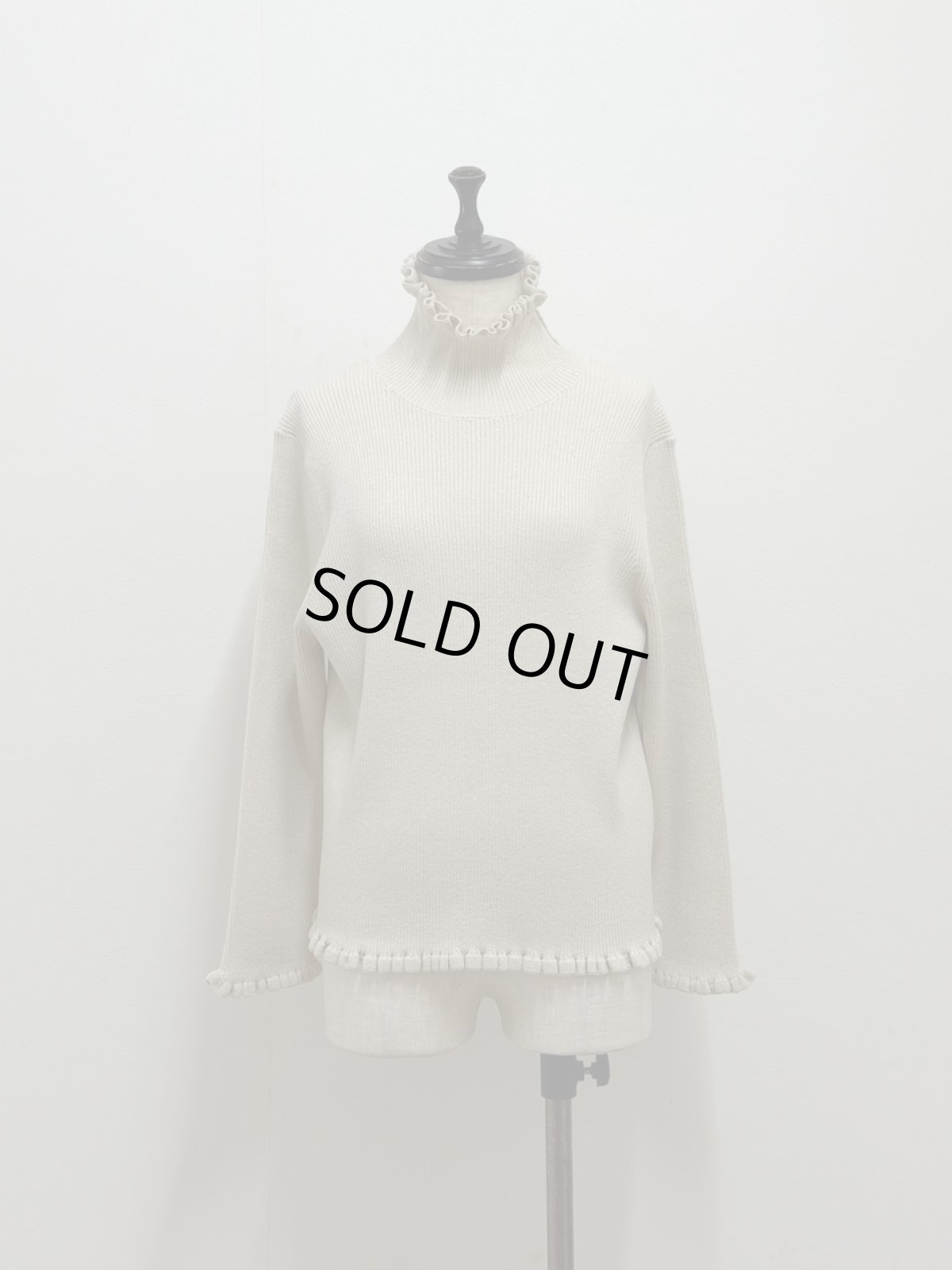 画像11: 【12月上旬〜12月中旬】ジェリーピタートル（M）5125150　※数量限定 (11)