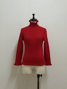 画像6: 【12月上旬〜12月中旬】ジェリーピタートル(3L)5625160 ※数量限定 (6)