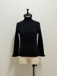 画像16: 【12月上旬〜12月中旬】ジェリーピタートル(3L)5625160 ※数量限定 (16)