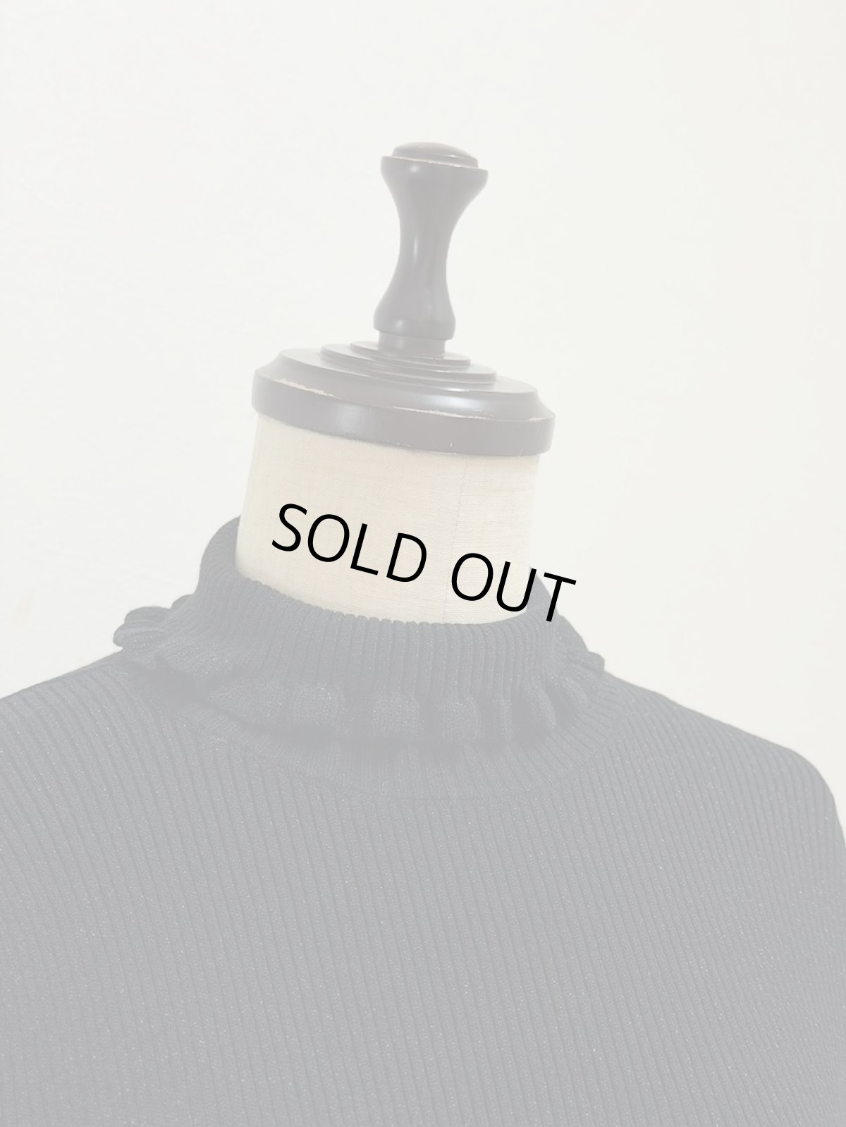 画像18: 【12月上旬〜12月中旬】ジェリーピタートル（M）5125150　※数量限定 (18)