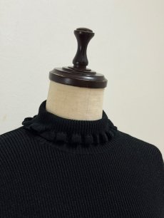 画像18: 【12月上旬〜12月中旬】ジェリーピタートル(3L)5625160 ※数量限定 (18)