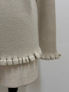 画像13: 【12月上旬〜12月中旬】ジェリーピタートル(3L)5625160 ※数量限定 (13)