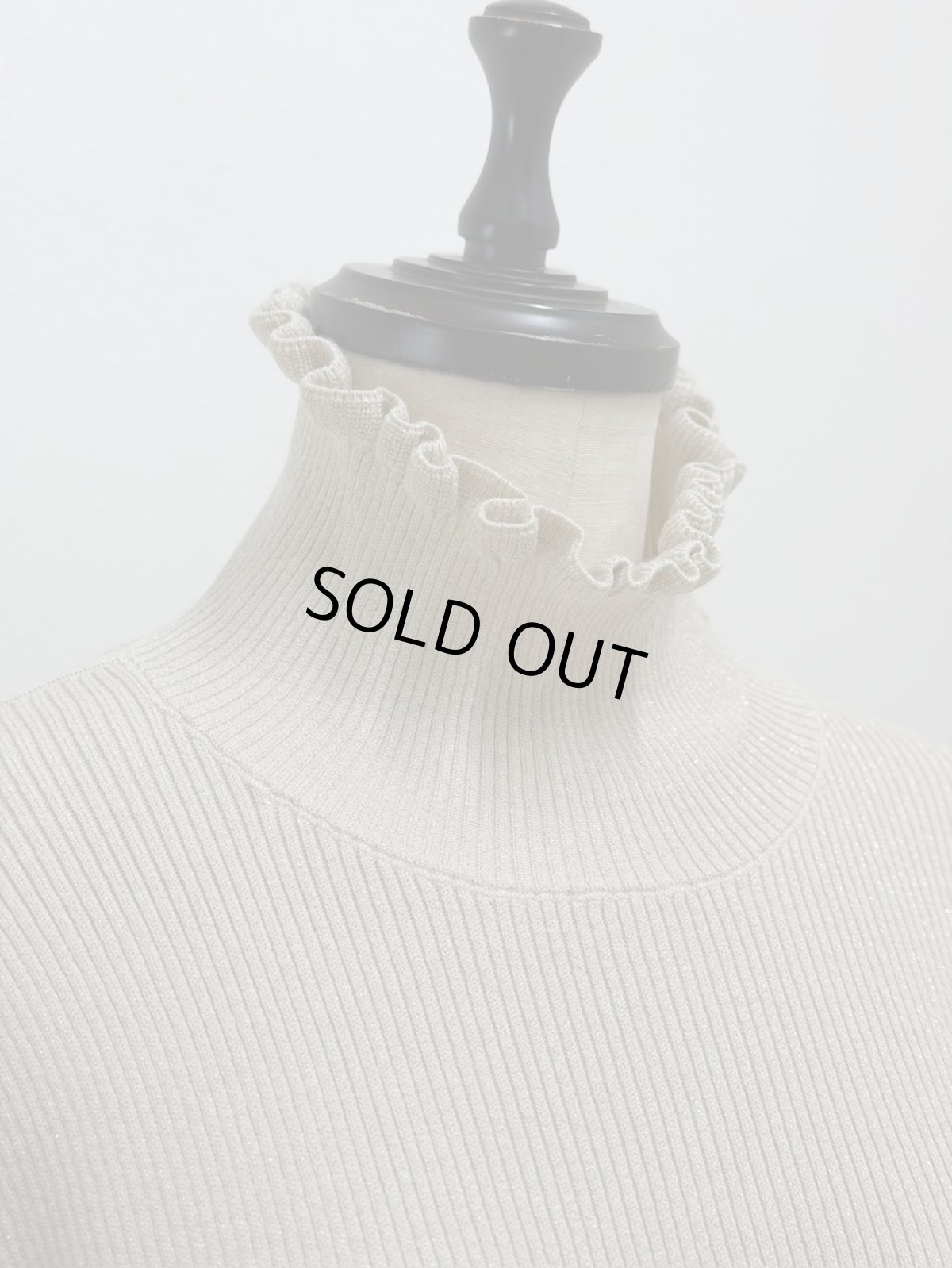 画像12: 【12月上旬〜12月中旬】ジェリーピタートル（M）5125150　※数量限定 (12)