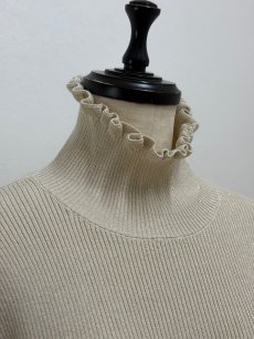 画像12: 【12月上旬〜12月中旬】ジェリーピタートル(3L)5625160 ※数量限定 (12)