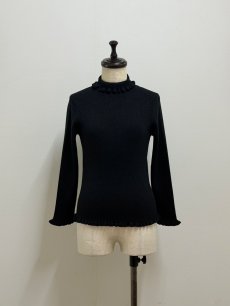 画像19: 【12月上旬〜12月中旬】ジェリーピタートル(3L)5625160 ※数量限定 (19)