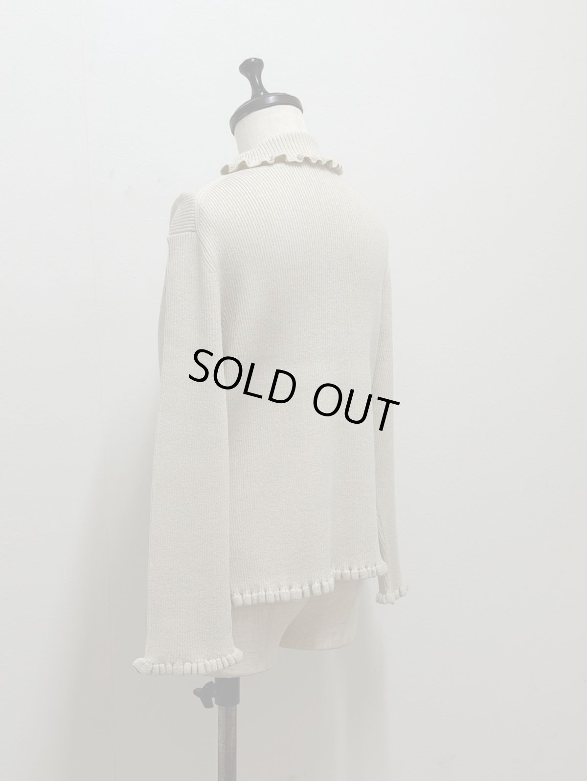 画像15: 【12月上旬〜12月中旬】ジェリーピタートル（M）5125150　※数量限定 (15)