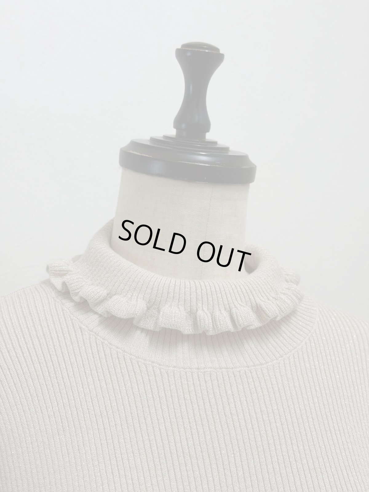 画像14: 【12月上旬〜12月中旬】ジェリーピタートル（M）5125150　※数量限定 (14)