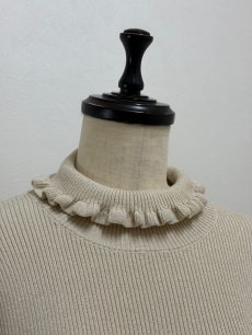 画像14: 【12月上旬〜12月中旬】ジェリーピタートル(3L)5625160 ※数量限定 (14)