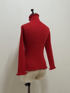 画像8: 【12月上旬〜12月中旬】ジェリーピタートル(3L)5625160 ※数量限定 (8)