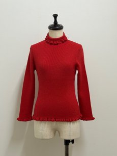 画像9: 【12月上旬〜12月中旬】ジェリーピタートル(3L)5625160 ※数量限定 (9)