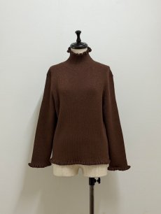 画像1: 【12月上旬〜12月中旬】ジェリーピタートル(3L)5625160 ※数量限定 (1)