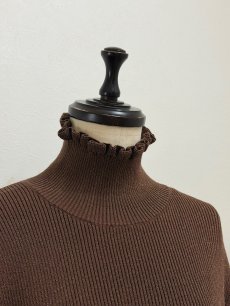 画像2: 【12月上旬〜12月中旬】ジェリーピタートル(3L)5625160 ※数量限定 (2)