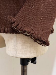 画像5: 【12月上旬〜12月中旬】ジェリーピタートル(3L)5625160 ※数量限定 (5)