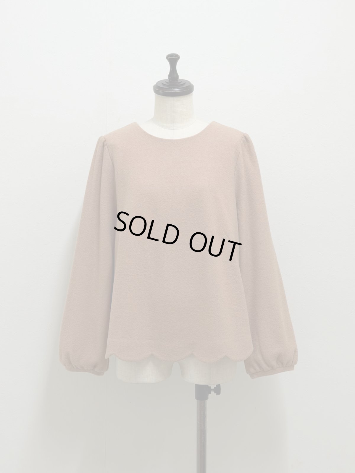 画像1: 【12月下旬〜1月中旬】トリコプルオーバー（3L）6680080 (1)