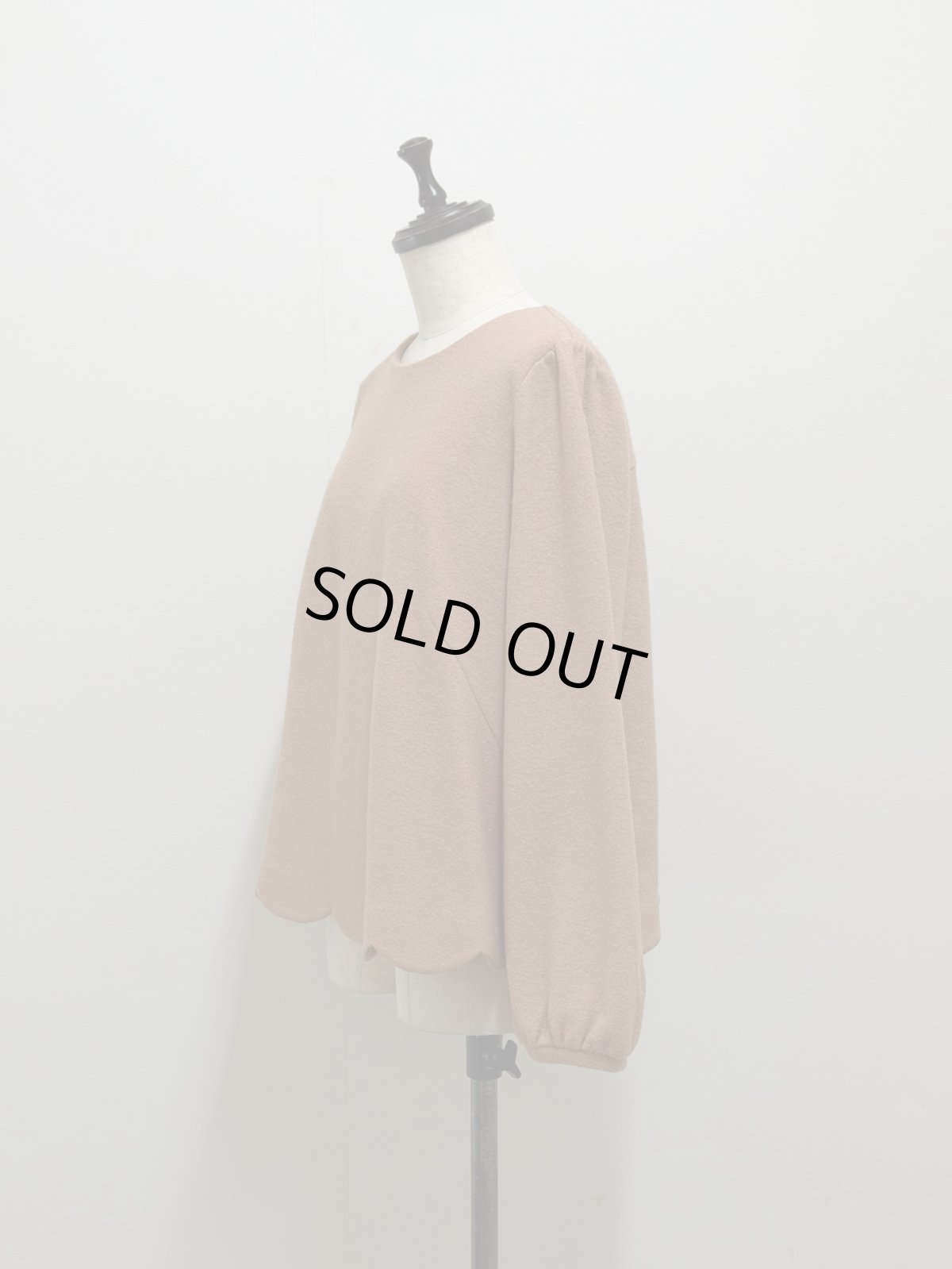 画像2: 【12月下旬〜1月中旬】トリコプルオーバー（3L）6680080 (2)